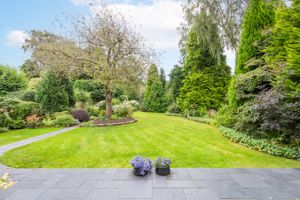 Photo 22- click for photo gallery